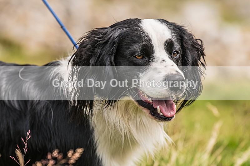 Borrowdale-714 - Borrowdale Fell Race Saturday 2nd August 2025