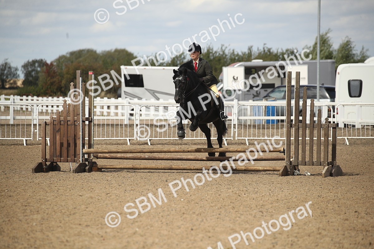 SBM_15159 - Class 505b - M&M Working Veteran - 50cm (20+)