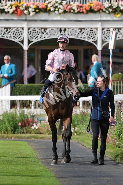 yr24092021r4-38 - Race 4 3.15pm William Hill Play Responsibly British EBF Restricted Novice Stakes