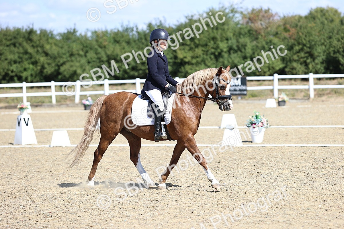 SBM_013835 - Class 2 - P5 Silver 11.20.12.23