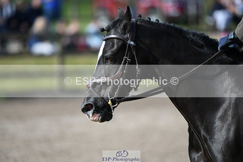 240825X-093730-30806 - 70cm SJ 9.15 to 10.21