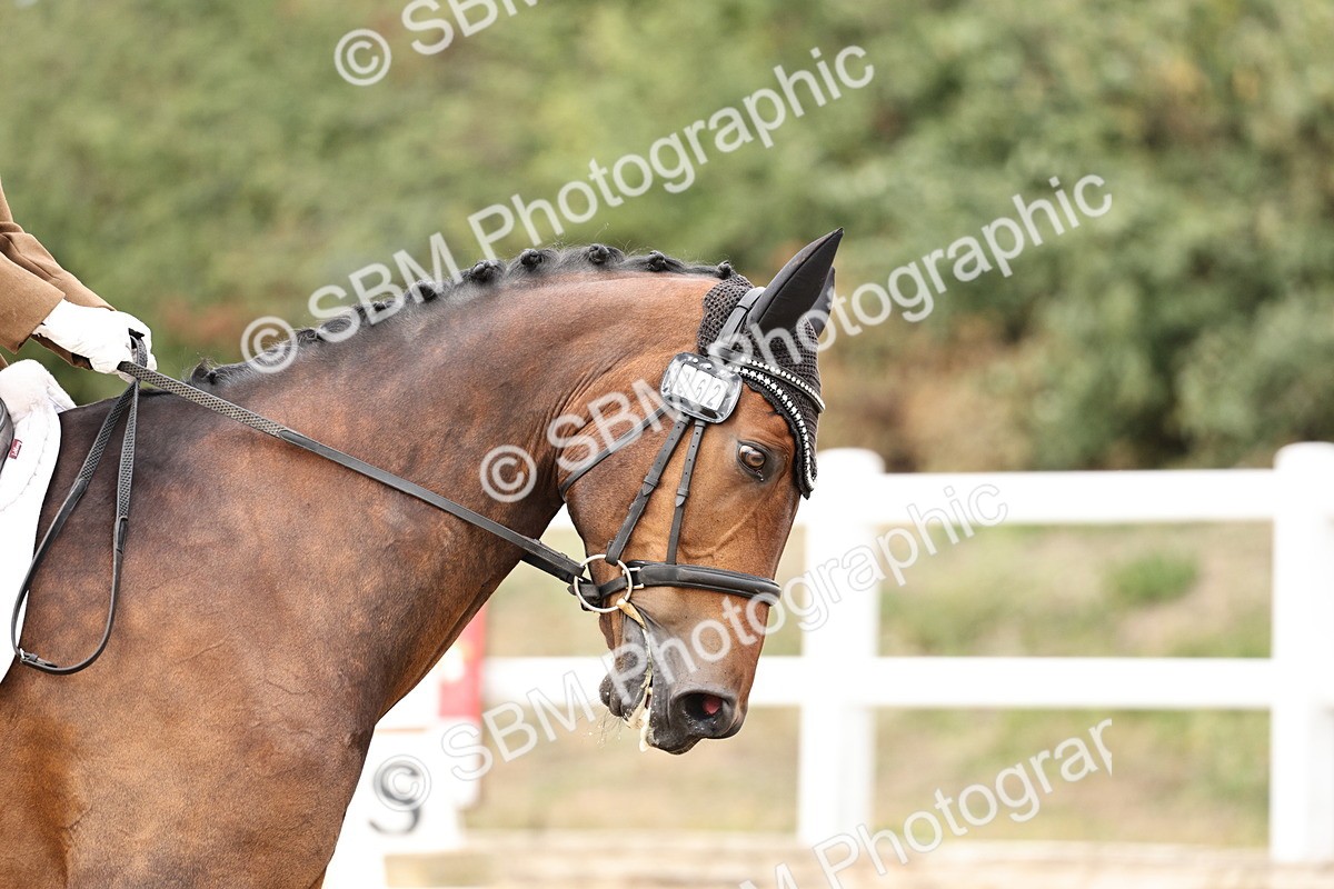 SBM_019619 - Class 18 - Elementary 5