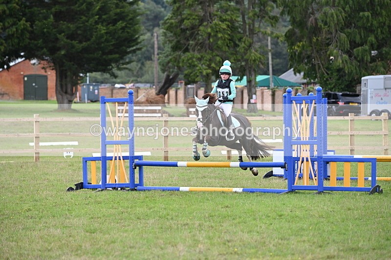 WJ6_1430 - 60cm Time 11:51 to 12:10