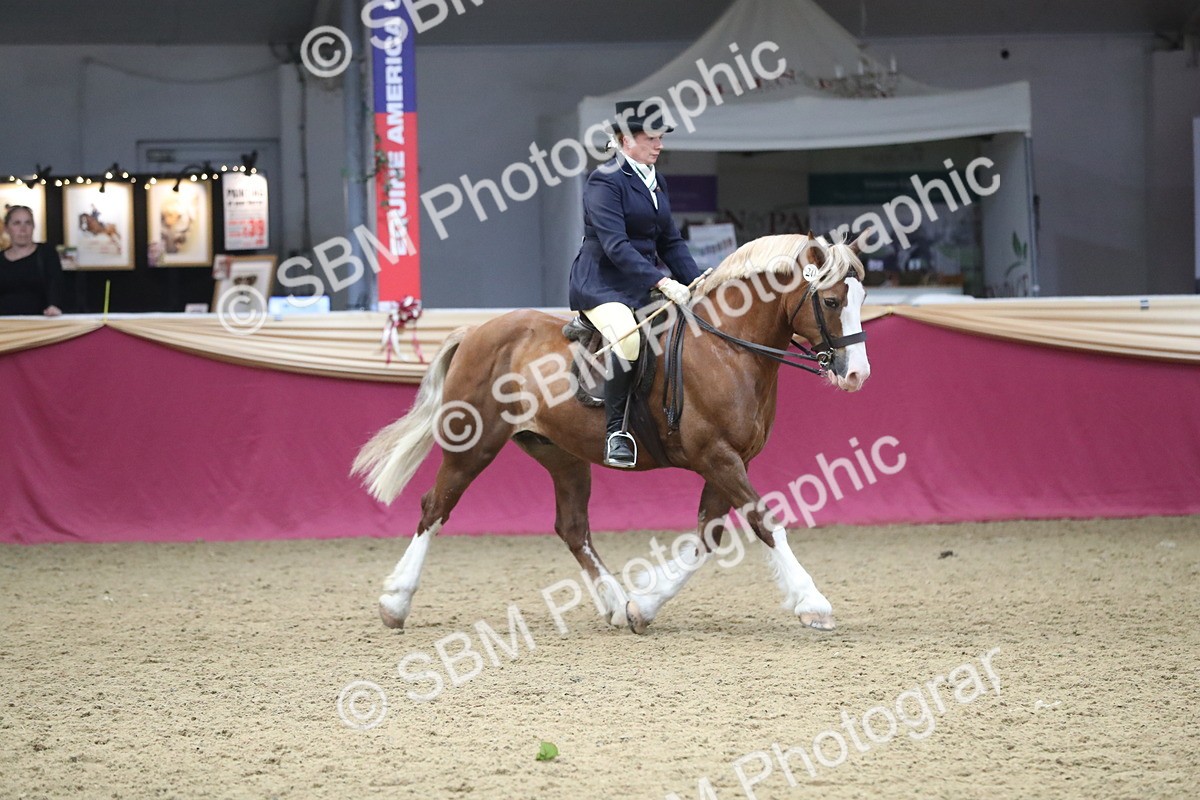 SBM_16451 - Class 502 M&M Ridden Supreme Final