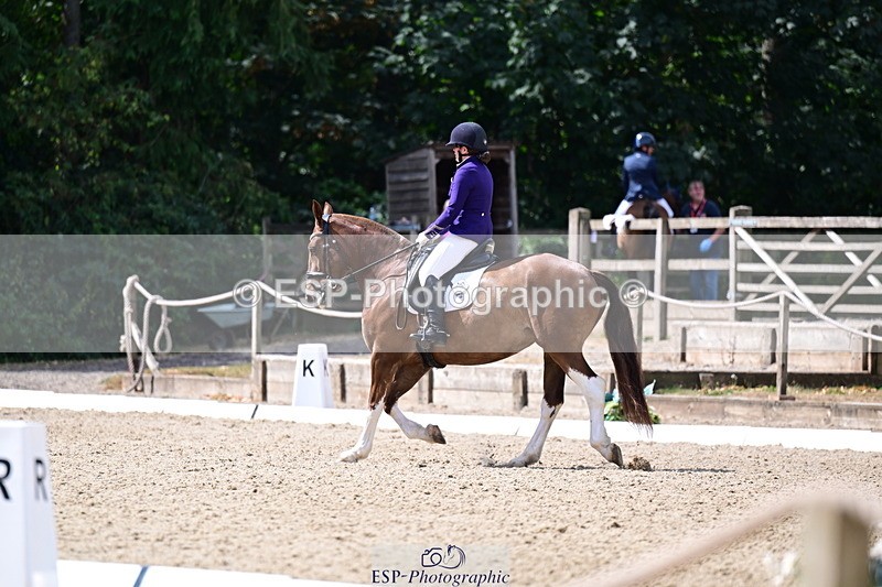 260802A-112215-06317 - Novice Bronze break - end