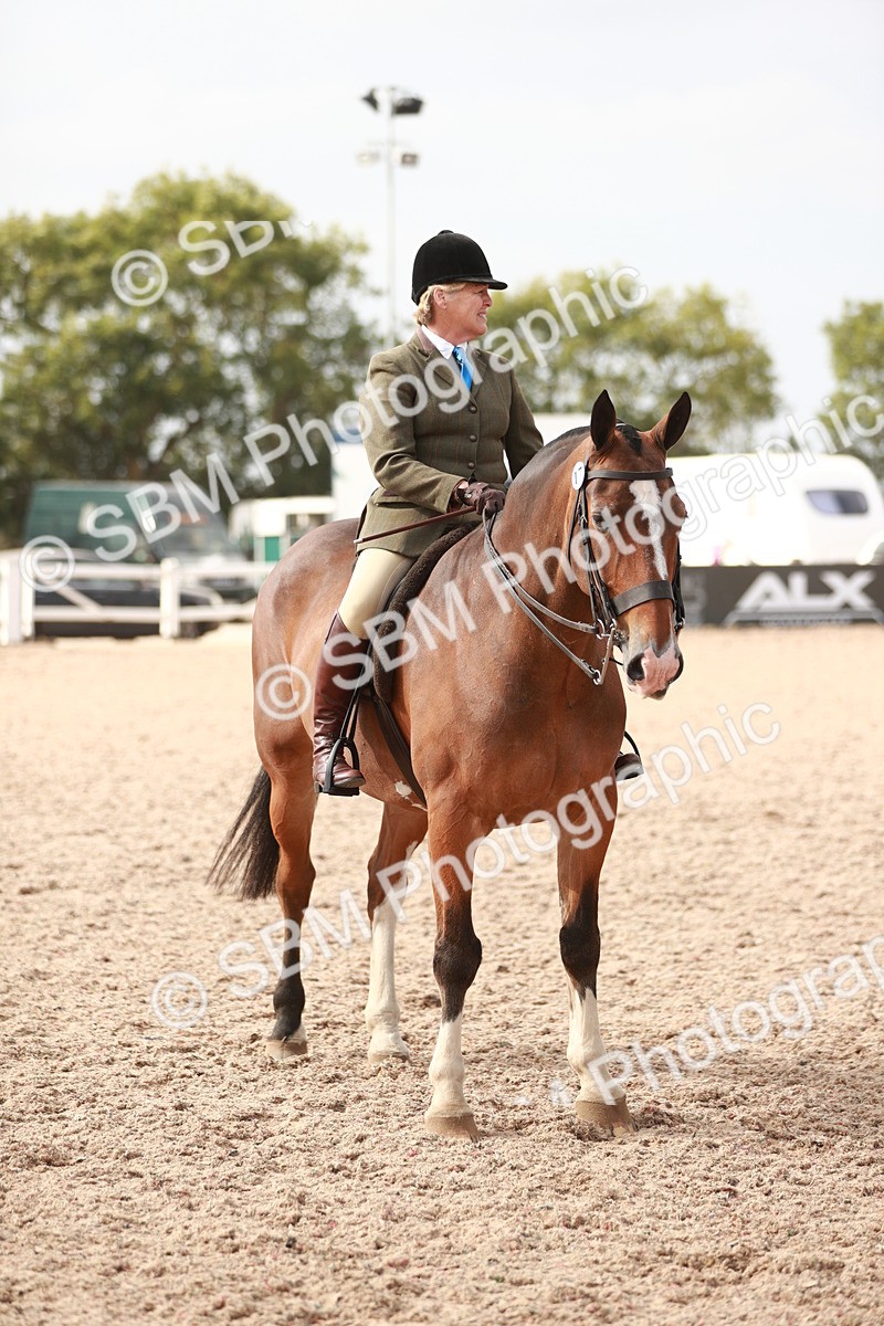 SBM_16812 - Class 214 Ridden Cob