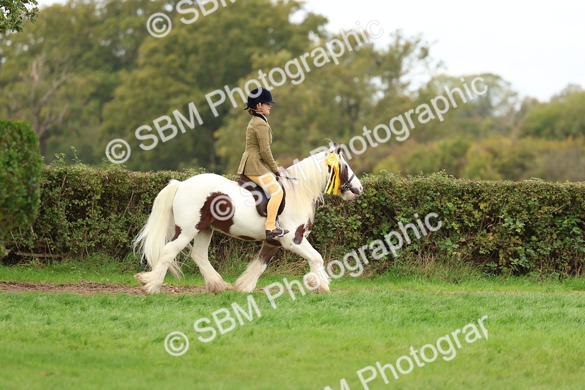 SBM_64683 - S58 - Coloured Pony Ridden