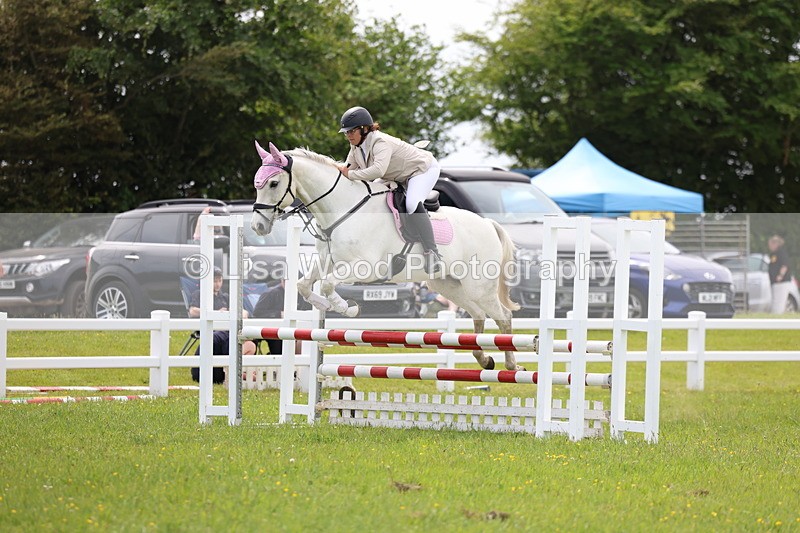 3E7A1665 - Class 13: Senior British Novice/90cm open