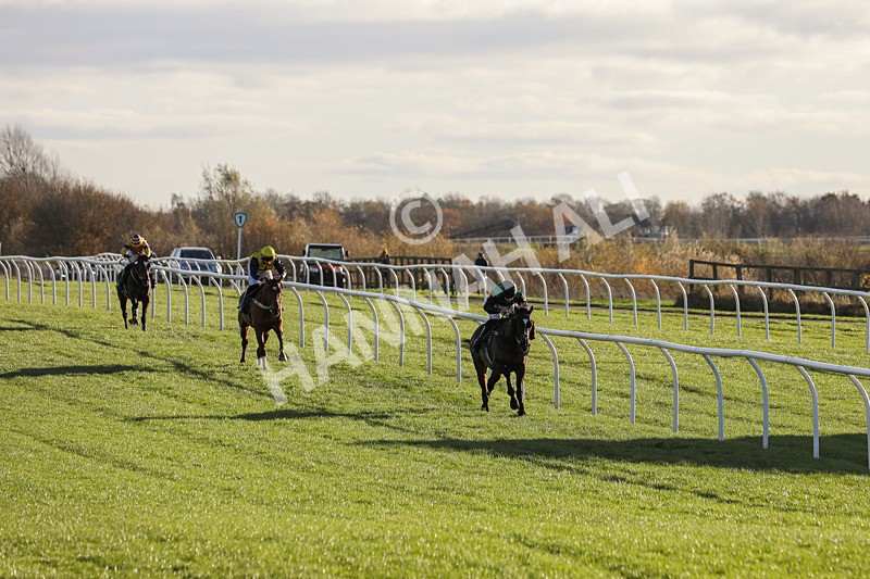 241123-Race 2-Latin Verse-0886 - Race 2