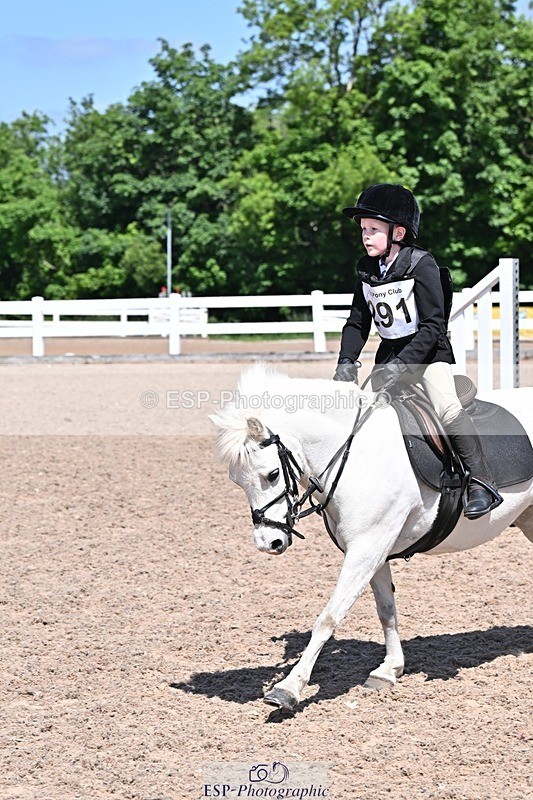 250517-120921-01103 - 40cm