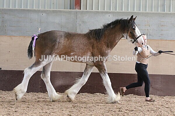 SIAL0286 - Indoor Classes