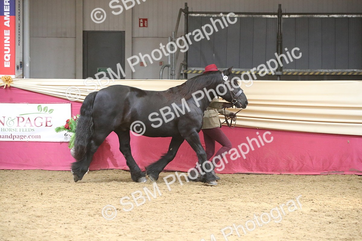 SBM_05499 - Class 9R - Regional IH Pre-Vet