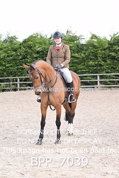 BPP_7039 - RING 1  (RIDDEN HORSES / IN HAND / VETERAN ETC)
