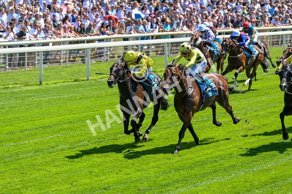 120725-Race 1-Remmooz-5501 - Race 1 2.00pm John Smith's Racing Handicap