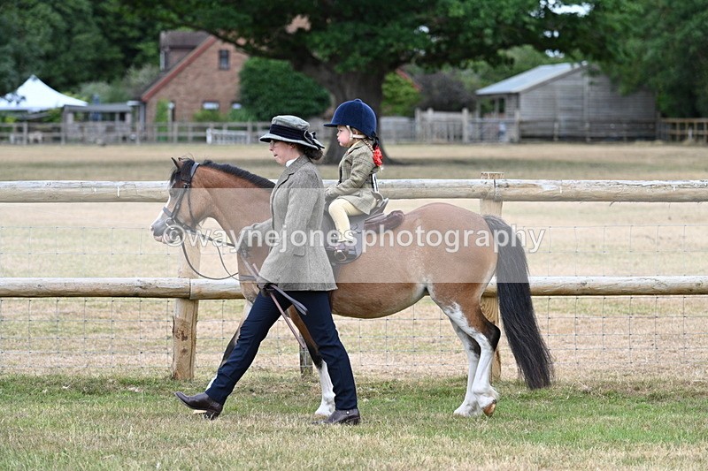 WJ7_9528 - Class 1 Lead Rein Pony