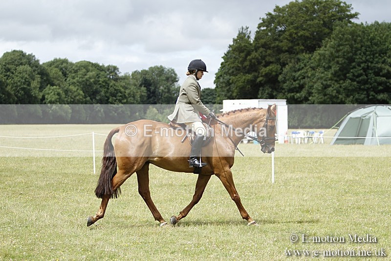 BVR160717-2277 - Working Hunter Championship 16/07/17