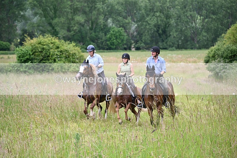 WJ6_8455 - Camera 1 Gallops
