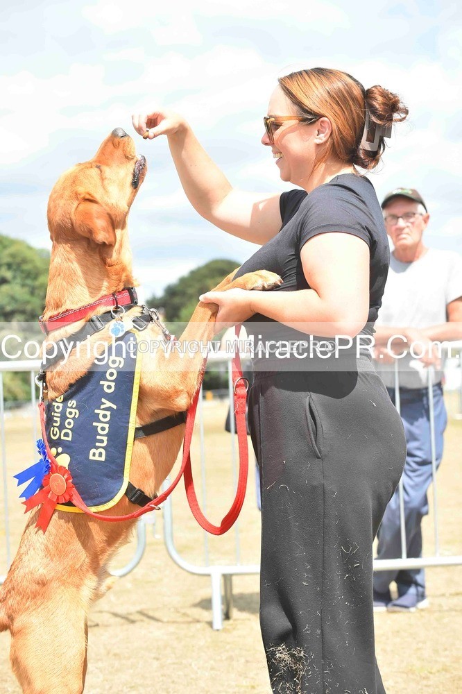 SH4_0263 - Dog show.