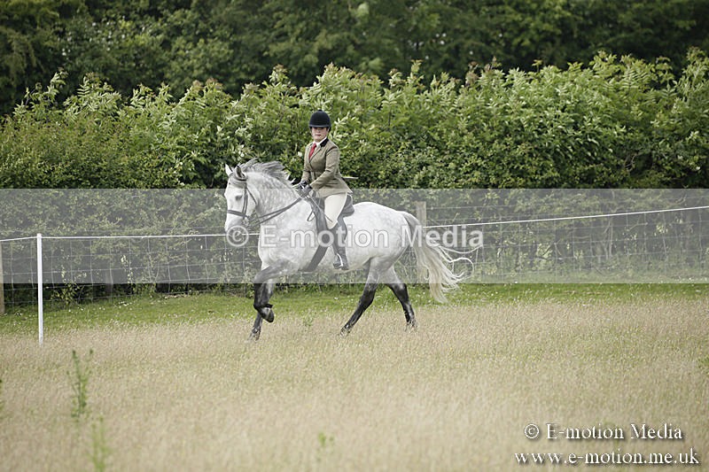 B230619-0496 - Bourne Valley Riding Club Summer Show 23/06/19
