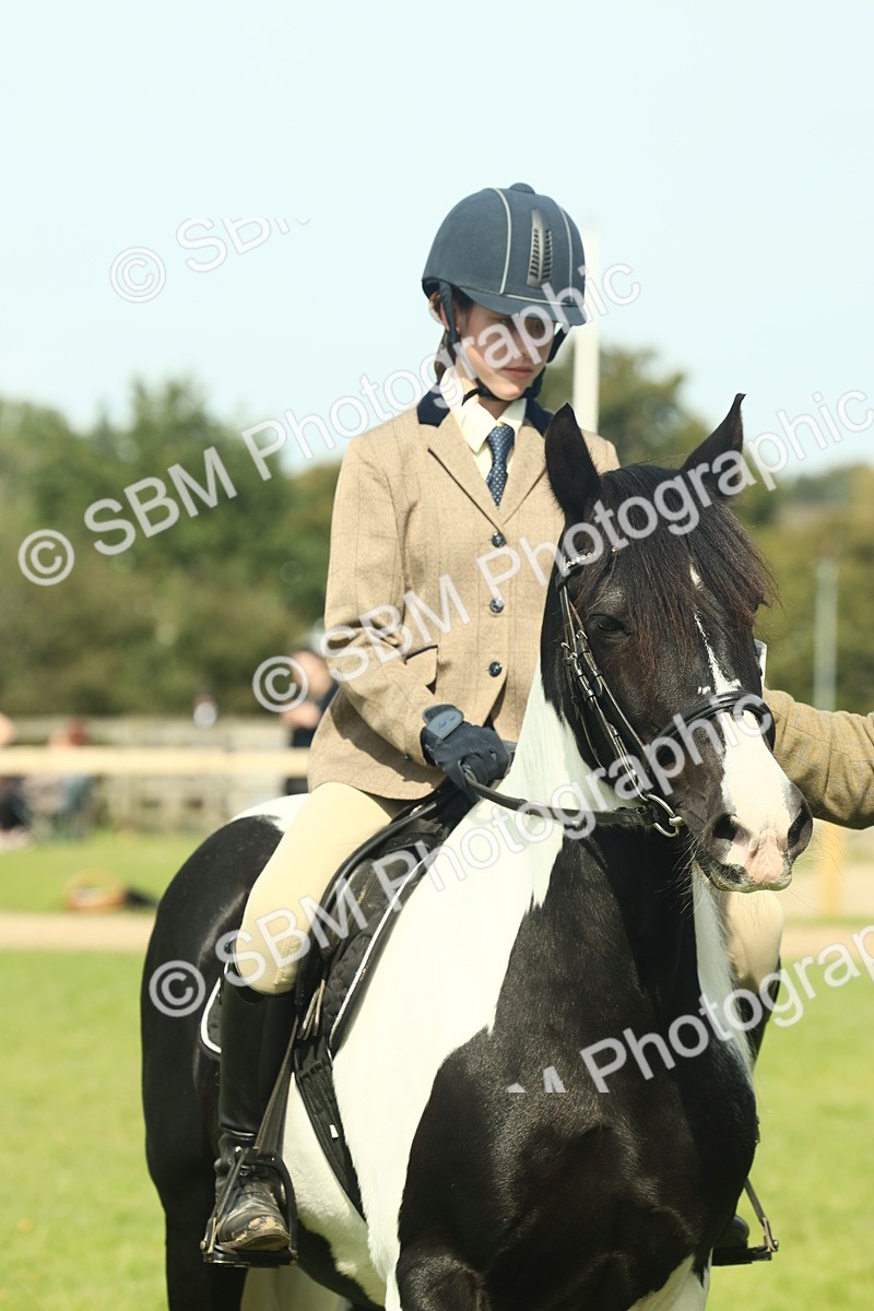 SBM_66658 - S34 - Rehabilitated Rescue Horse & Pony In Hand & Ridden