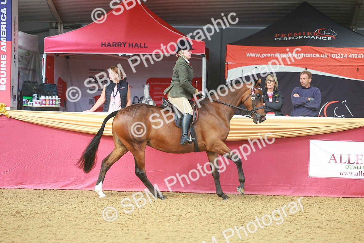 SBM_10533 - Class 103 - HOYS Veteran Qualifier - Ridden Pre Vet
