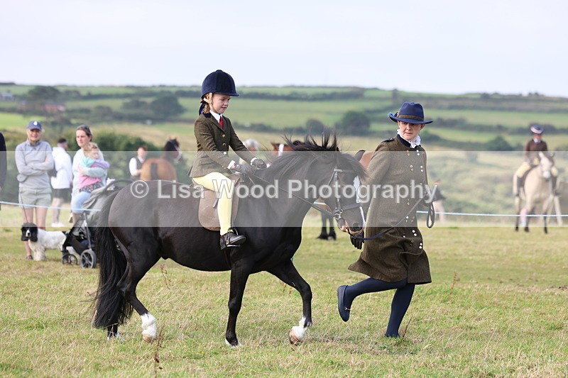 3E7A3433 - Class 2: Lead rein