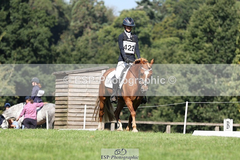 250823A-103602-27735 - Arena D