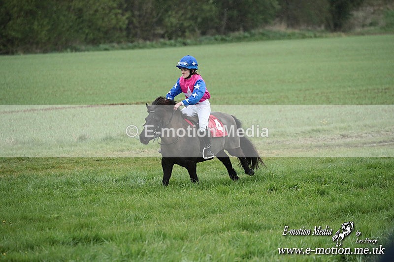 SHETPR 210425 104 - Shetland Ponies Paxford Races 21/04/25