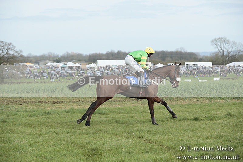 PtP 230319 274 - VWH Hunt Siddington Point-to-Point Racing 23/03/19