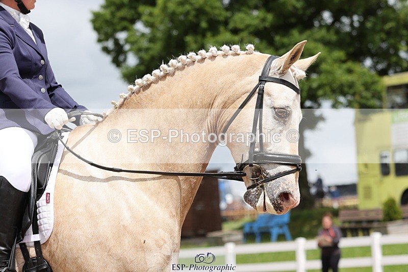 240622A-140606-11907 - Cls 29 BD Elementary 45