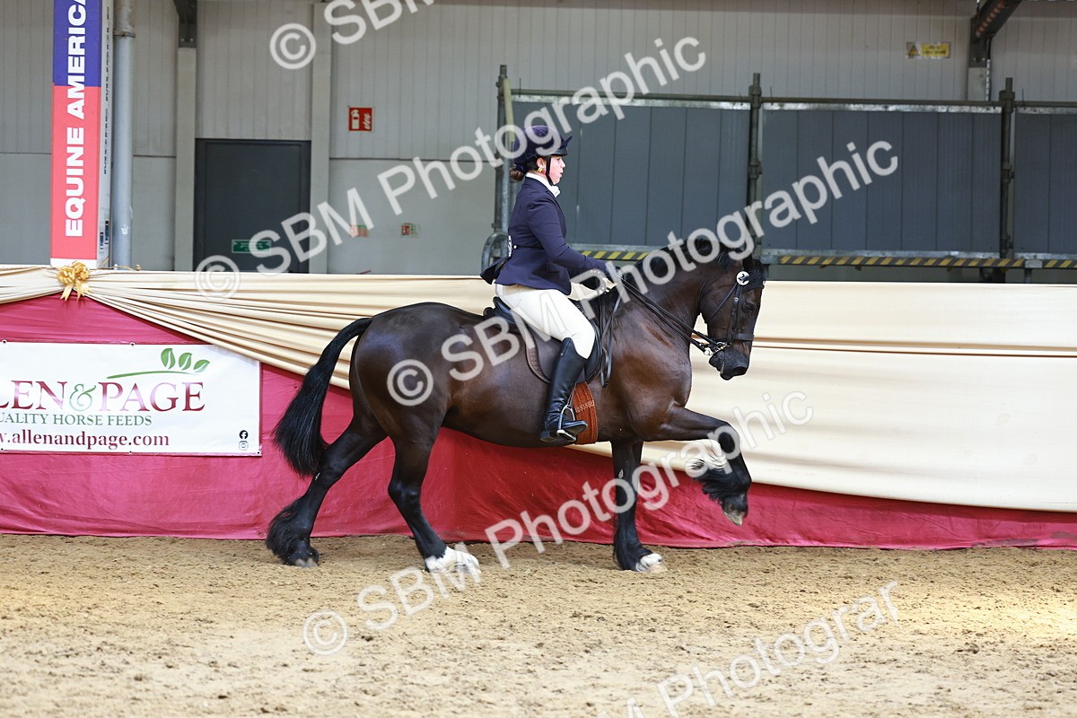 SBM_23923 - Class 905 - Supreme Final - Ridden Veteran
