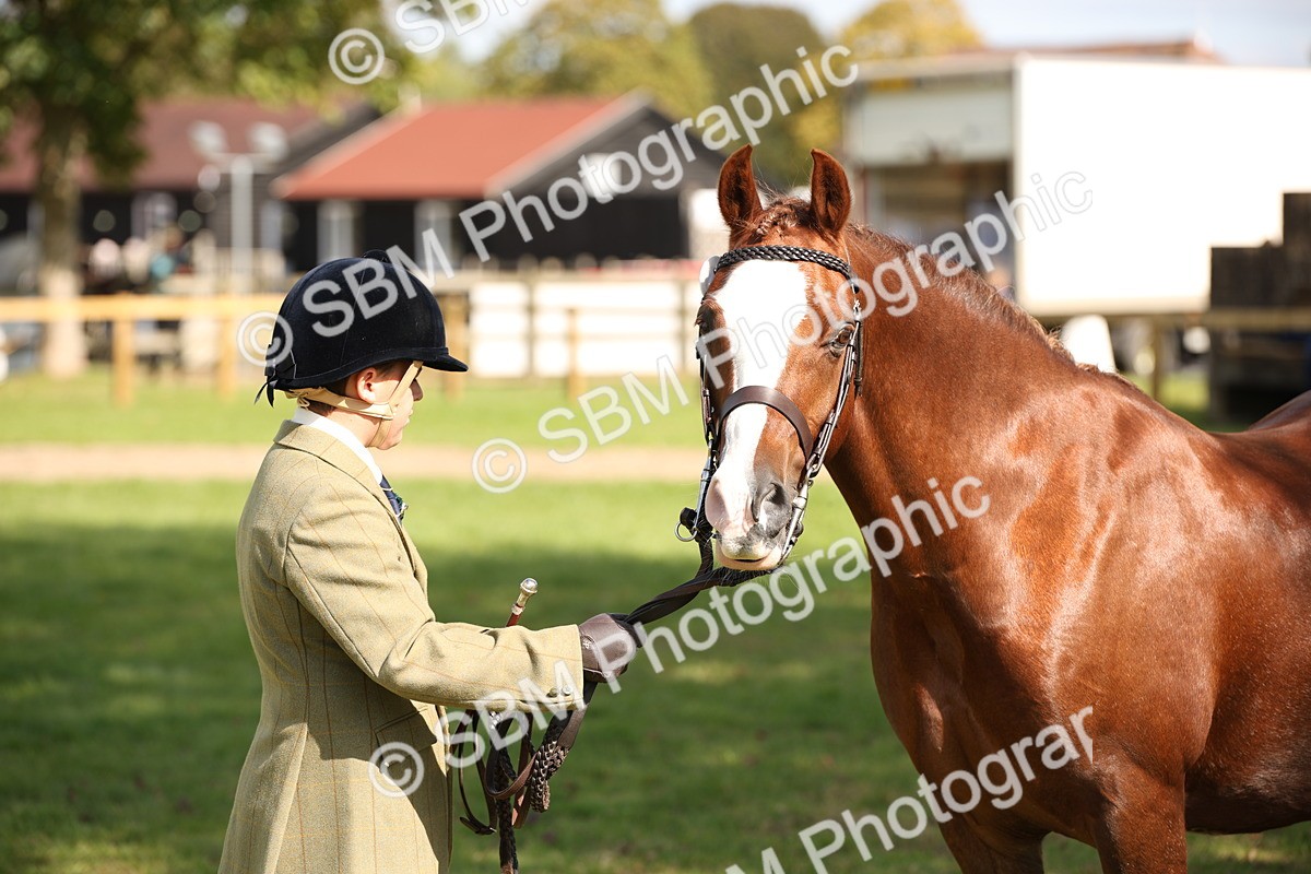 SBM_44440 - S24 - Young Veteran in hand
