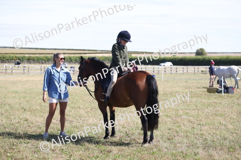 20260906-2238 - Class 16 - Family Pony