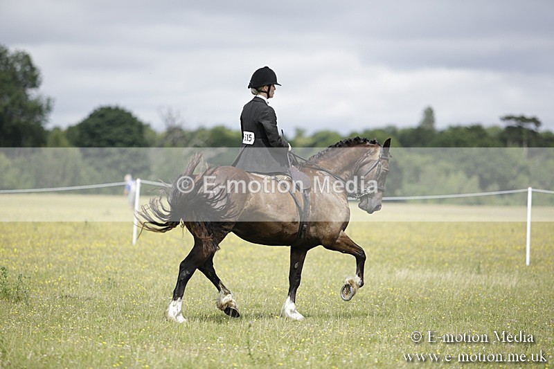 BVR160717-1975 - Side Saddle Classes 16/07/17