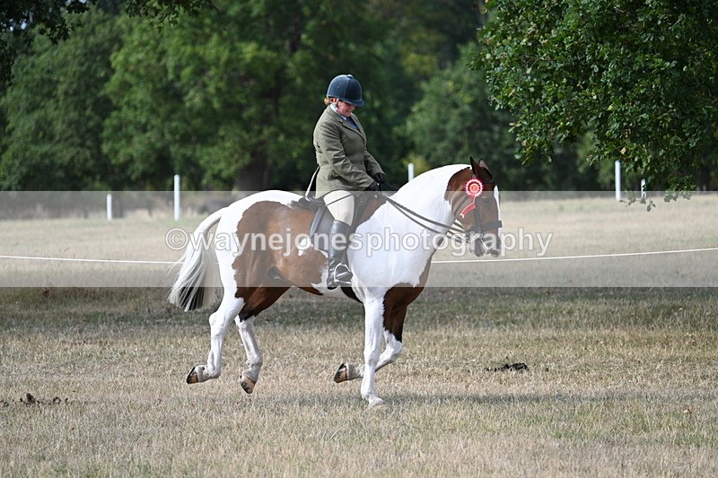 WJ7_7743 - Ridden Championship
