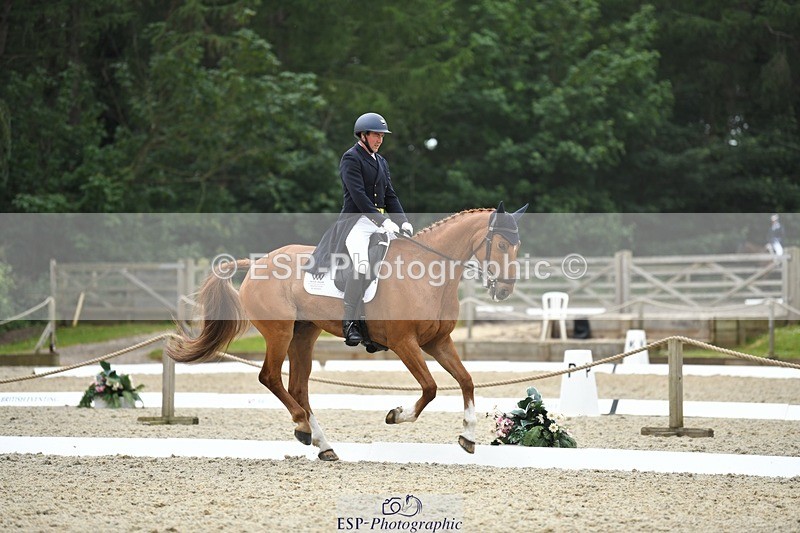 230525-125030-02036 - 111-CREEVAGHSTABLES_IFICUDIWUD-Tim_Cheffings-WEDTrotUp+DR