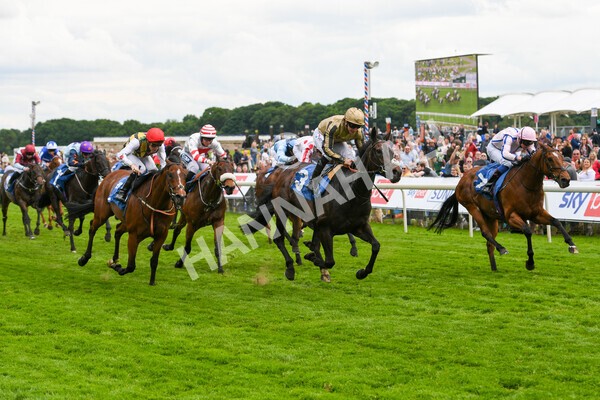 yr22052022r5-24 - Race 5: 5:35pm Sky Bet Sunday Series Sprint