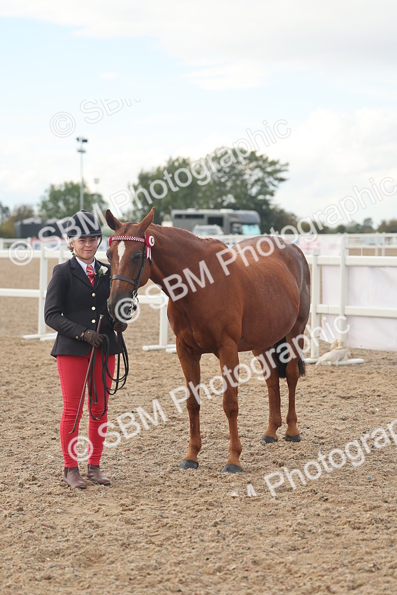 SBM_08566 - Class 29 - IH Veteran Pony
