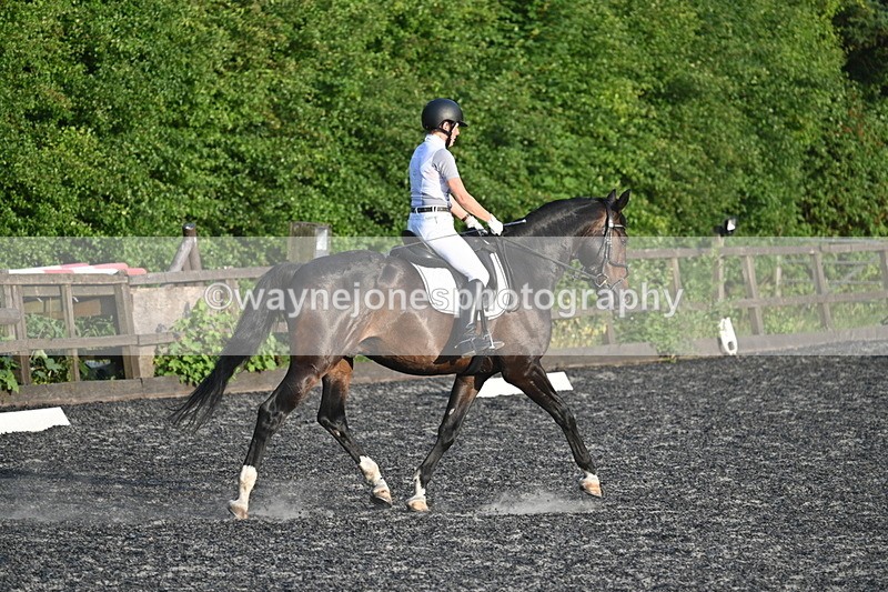 WJ7_0559 - Time 19:38 to 20:00