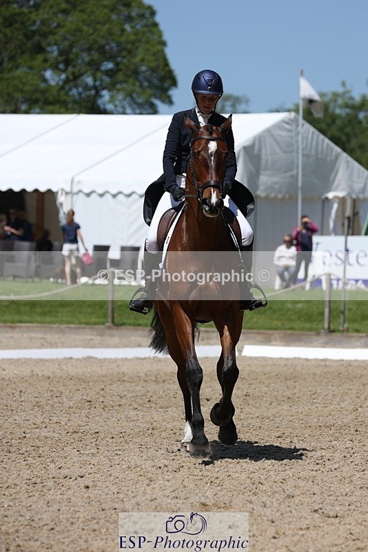 230526-130231-06304 - 164-TREBOR-Kelly_Mccarthy-maine-WEDTrotUp+DR