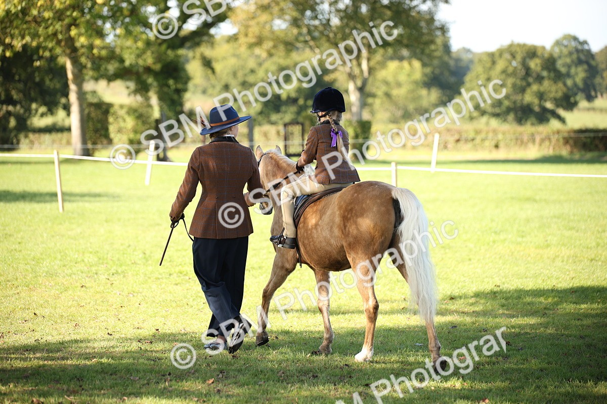 SBM_35744 - S9 - Lead Rein Equitation