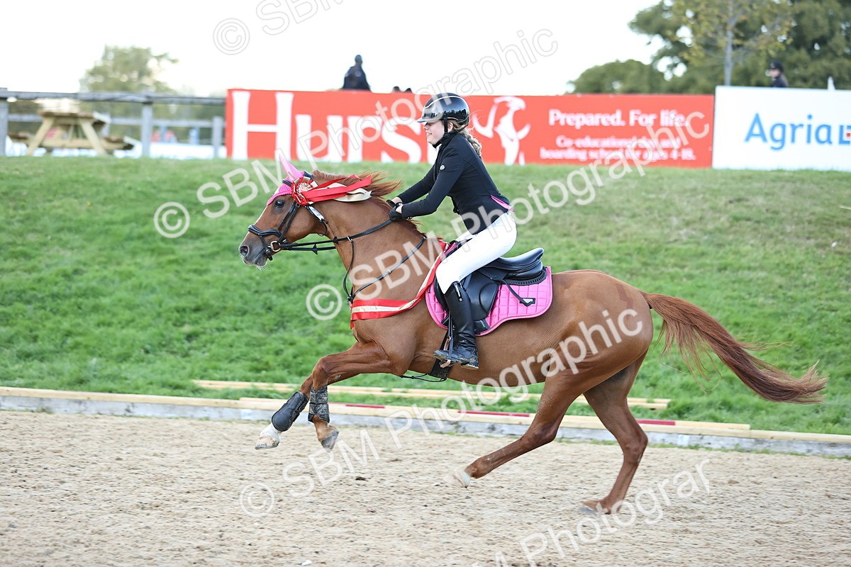 SBM_54438 - Supreme Championship 70cm 75cm