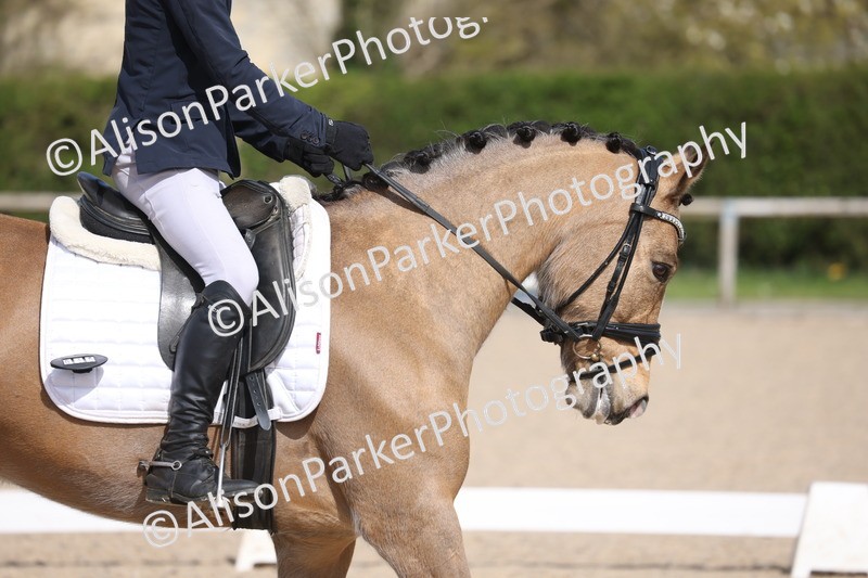 20260405-0251 - Class 3 - Novice 5