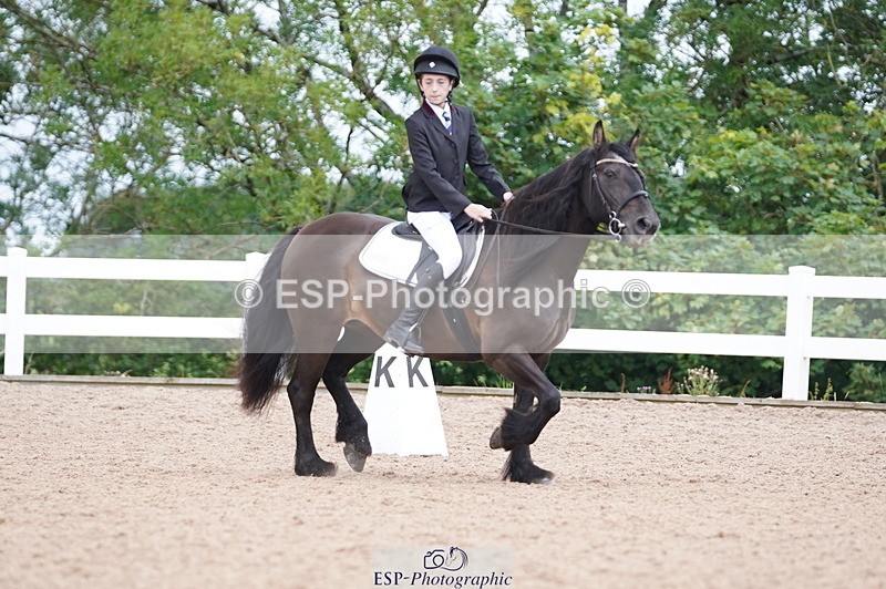 240809A-095108-00339 - Dressage Competition