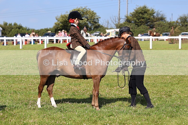 IMG_1728 - Class 31: Lead Rein SP/SHP