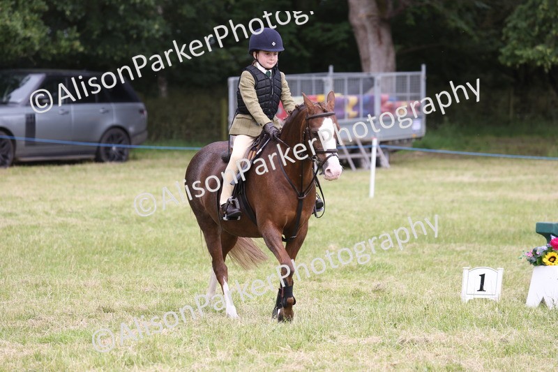 20260614-3015 - Class 22 - Open Working Hunter