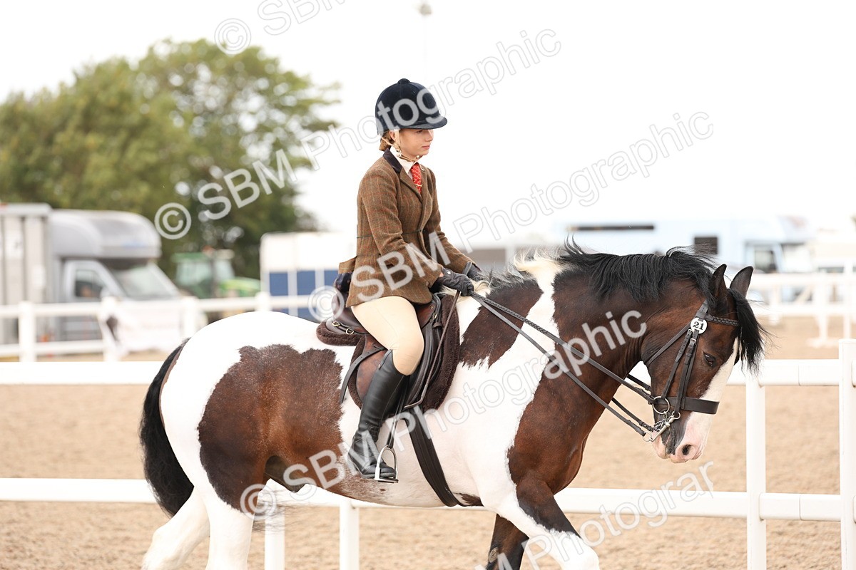 SBM_19620 - Class 216 - Ridden Traditional - Native Cob