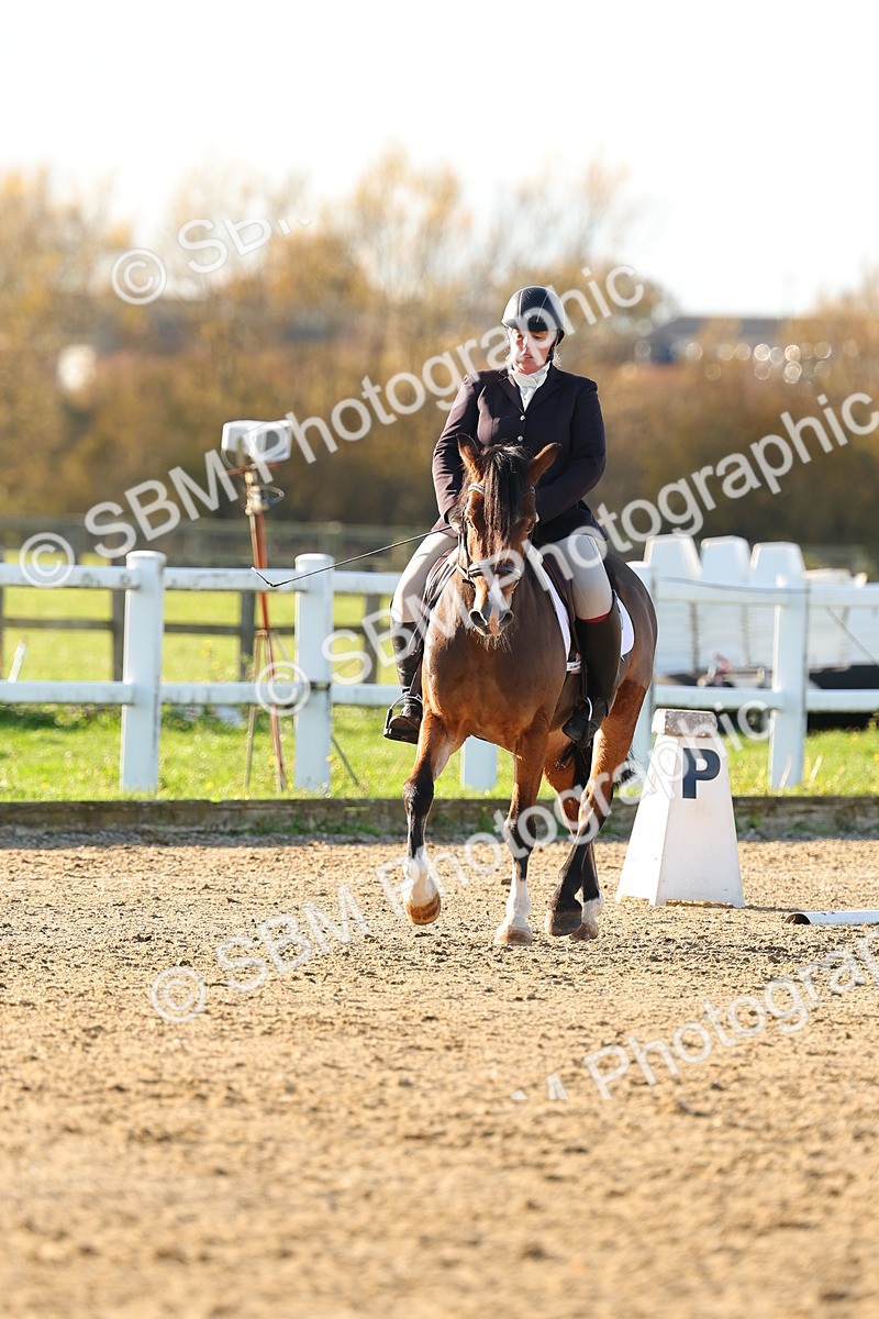 SBM_001667 - Medium 4