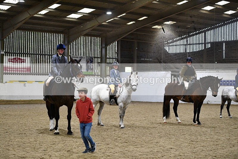 WJ5_8099 - Class 13 Ridden Part Breed