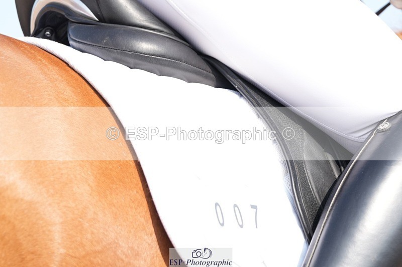 250815-102521-00420 - 007-kelly.jewellAvalon